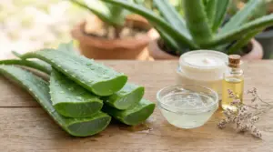 Fette di aloe vera con gel in ciotola, crema in vasetto e olio su tavolo in legno